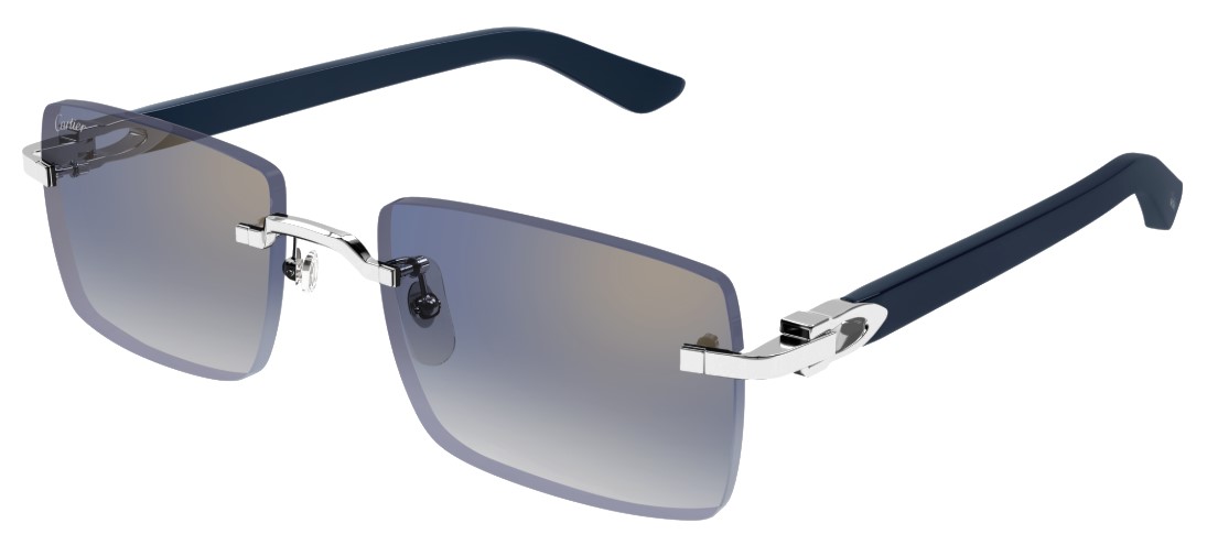 Cartier CT0579S